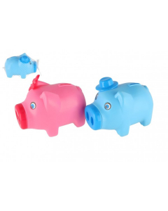 Poza_pusculita plastic