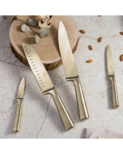 SET DE CUȚITE INOX 4 PIESE; BH-2976