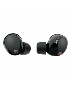 Slúchadlá - SONY In-Ear Wireless, Premium